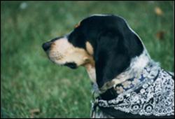 Click to view exif information